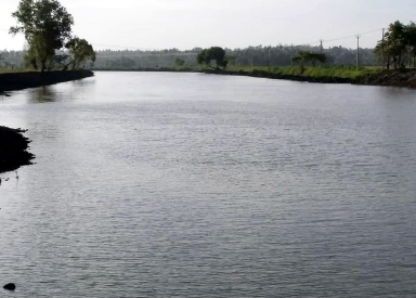 ലേഖകന്റെ ജന്മഗ്രാമത്തിലെ ചാത്രാപ്പ് കായൽ