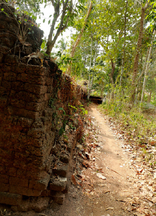 മൂക്കുതല ഗ്രാമത്തിലെ ഇടവഴികളിലൊന്ന്‌