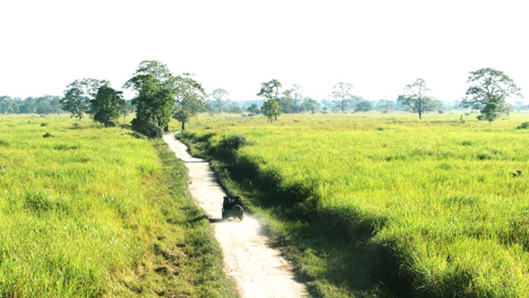 കാസിരംഗ ദേശീയോദ്യാനം