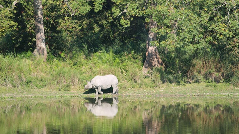 കാസിരംഗ ദേശീയ ഉദ്യാനം