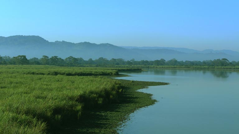 കാസിരംഗ ദേശീയ ഉദ്യാനം